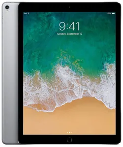 Ремонт iPad Pro 12.9' (2015) в Долгопрудном